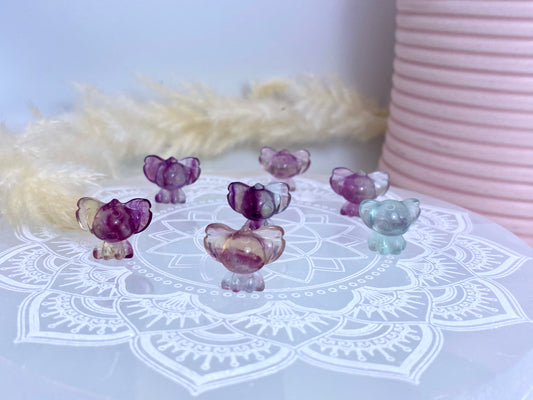 Mini Fluorite Carving