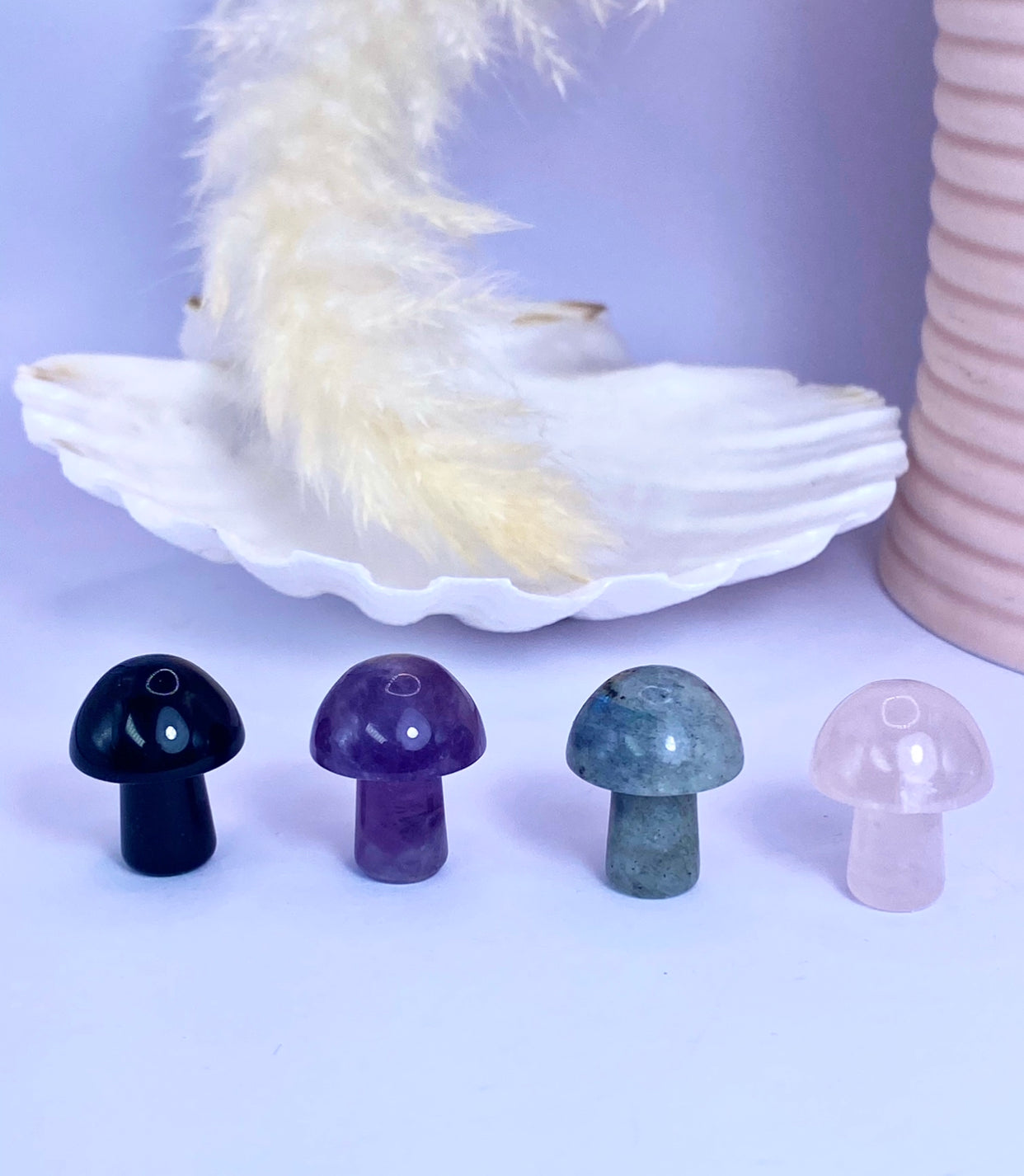 Mini Mushies - Mixed