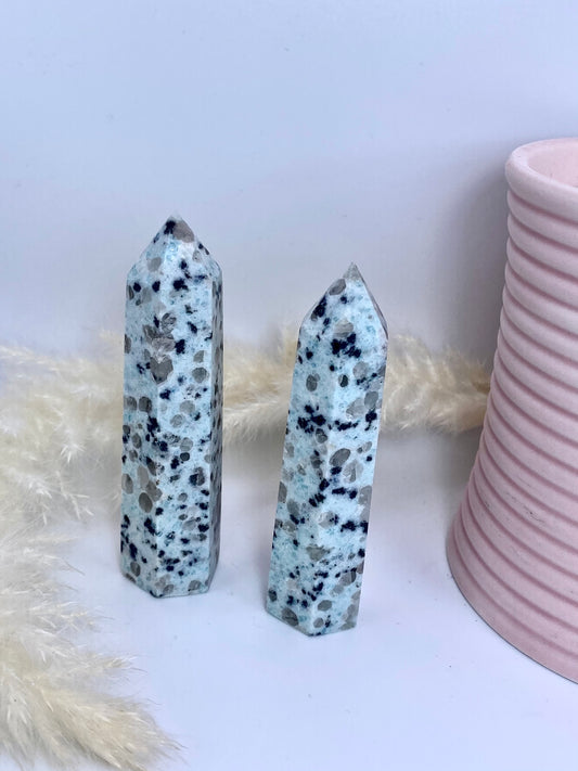 Kiwi Jasper